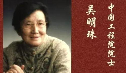 娱乐圈摆烂吃瓜是谁